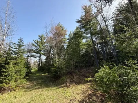 86441 Creamery Road Butternut WI 54514