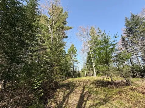 86441 Creamery Road Butternut WI 54514