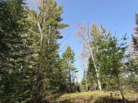 86441 Creamery Road Butternut WI 54514