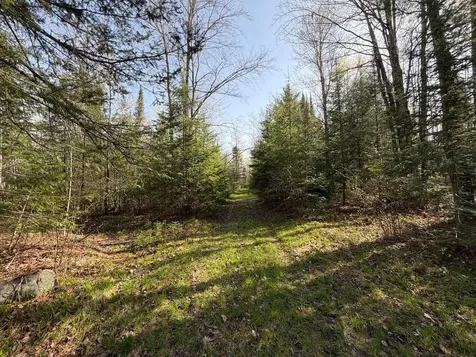 86441 Creamery Road Butternut WI 54514