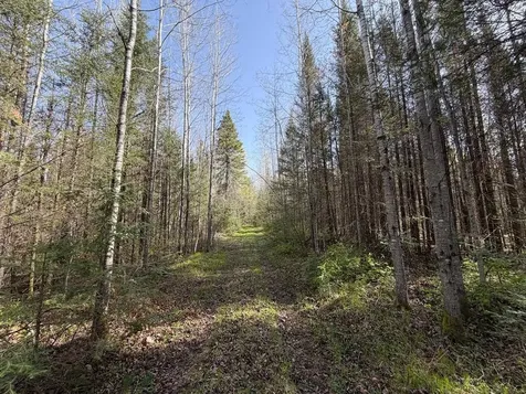 86441 Creamery Road Butternut WI 54514