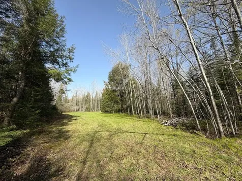 86441 Creamery Road Butternut WI 54514