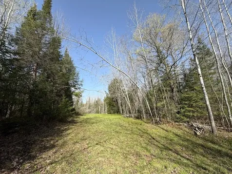 86441 Creamery Road Butternut WI 54514