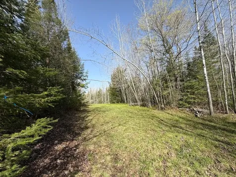 86441 Creamery Road Butternut WI 54514