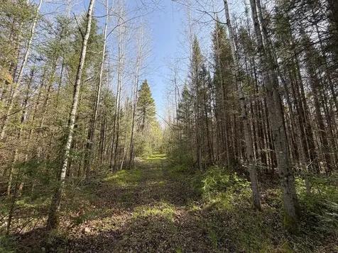 86441 Creamery Road Butternut WI 54514