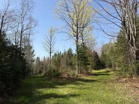 86441 Creamery Road Butternut WI 54514