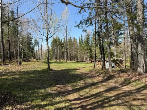 86441 Creamery Road Butternut WI 54514