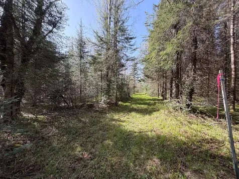 86441 Creamery Road Butternut WI 54514