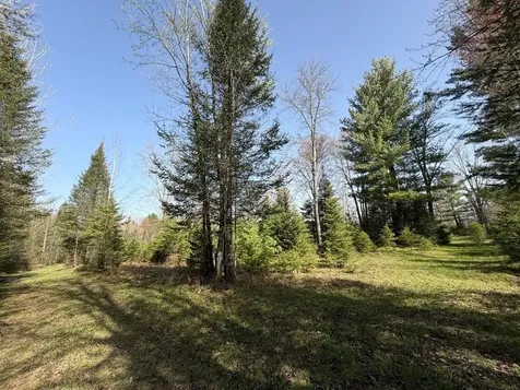 86441 Creamery Road Butternut WI 54514