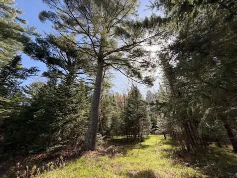 86441 Creamery Road Butternut WI 54514