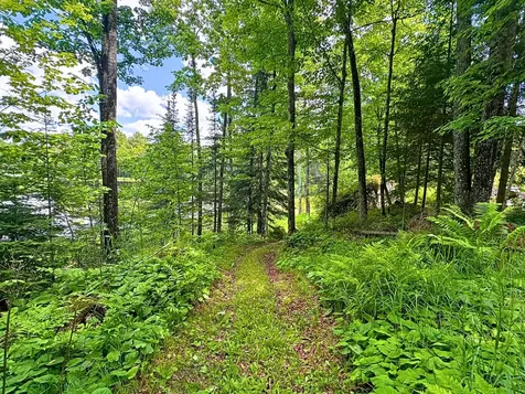 N13038 Hicks Landing Road Fifield WI 54524