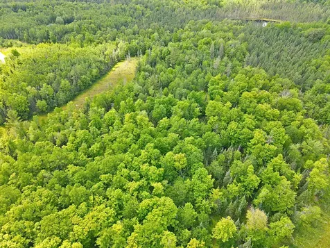 N13038 Hicks Landing Road Fifield WI 54524