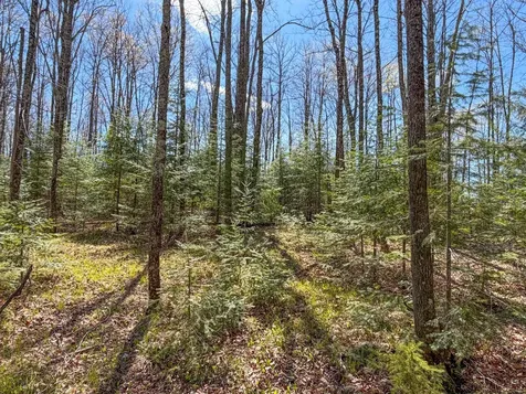 N13038 Hicks Landing Road Fifield WI 54524