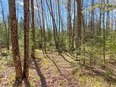 N13038 Hicks Landing Road Fifield WI 54524