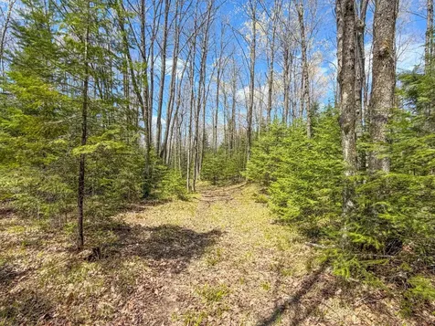 N13038 Hicks Landing Road Fifield WI 54524