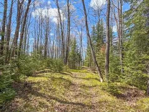 N13038 Hicks Landing Road Fifield WI 54524