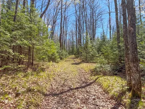 N13038 Hicks Landing Road Fifield WI 54524