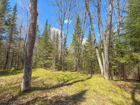 N13038 Hicks Landing Road Fifield WI 54524