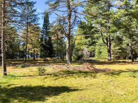 Lot 1 Bear Run Lane Minocqua WI 54558