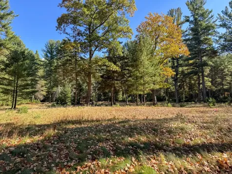 Lot 1 Bear Run Lane Minocqua WI 54558