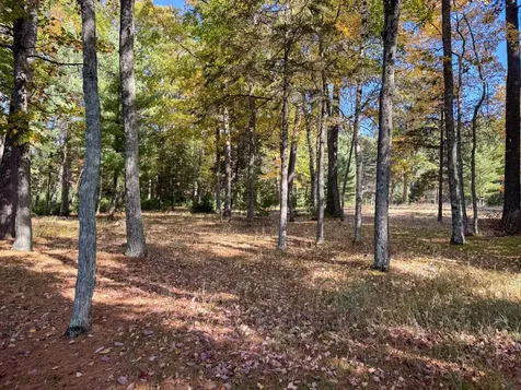 Lot 1 Bear Run Lane Minocqua WI 54558