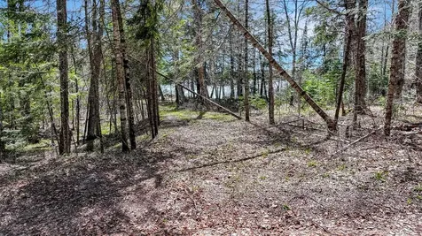 Tbd Pardee Lake Lane E Winchester WI 54557