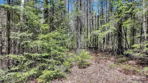 Tbd Pardee Lake Lane E Winchester WI 54557