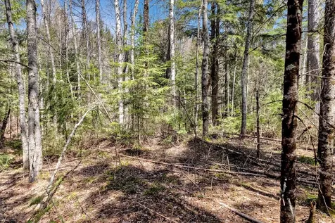 Tbd Pardee Lake Lane E Winchester WI 54557