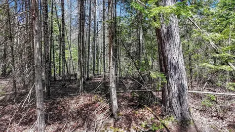 Tbd Pardee Lake Lane E Winchester WI 54557