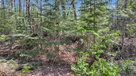 Tbd Pardee Lake Lane E Winchester WI 54557