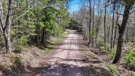 Tbd Pardee Lake Lane E Winchester WI 54557