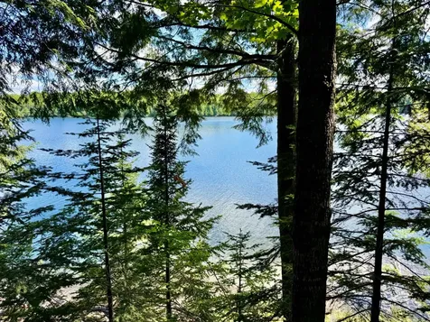 On Beatons Lake Road Watersmeet MI 49969