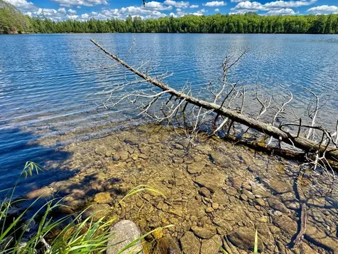 On Beatons Lake Road Watersmeet MI 49969