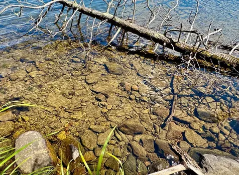 On Beatons Lake Road Watersmeet MI 49969