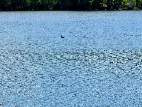 On Beatons Lake Road Watersmeet MI 49969