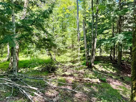 On Beatons Lake Road Watersmeet MI 49969