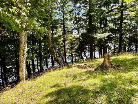 On Beatons Lake Road Watersmeet MI 49969