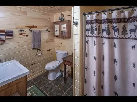 13734 Chrissie Lane Lac Du Flambeau WI 54538