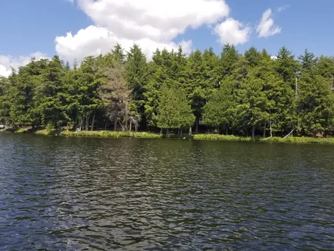 5 Ac Sylvan Isle Drive Watersmeet MI 49969