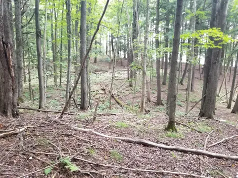 5 AC Sylvan Isle Drive Watersmeet MI 49969