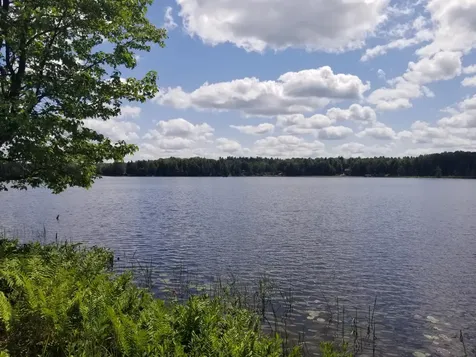 5 AC Sylvan Isle Drive Watersmeet MI 49969