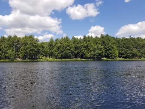 5 Ac Sylvan Isle Drive Watersmeet MI 49969