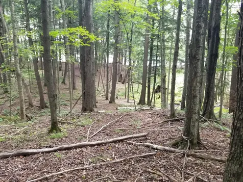 5 Ac Sylvan Isle Drive Watersmeet MI 49969