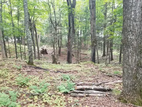 5 Ac Sylvan Isle Drive Watersmeet MI 49969