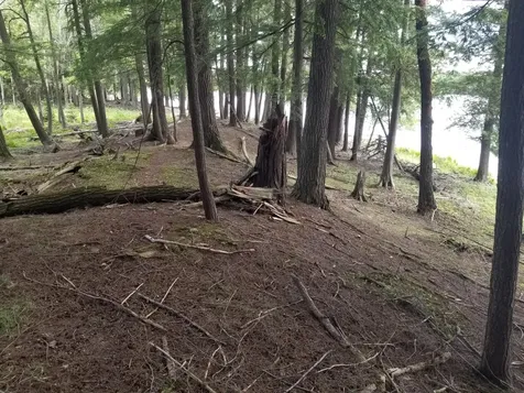 5 Ac Sylvan Isle Drive Watersmeet MI 49969