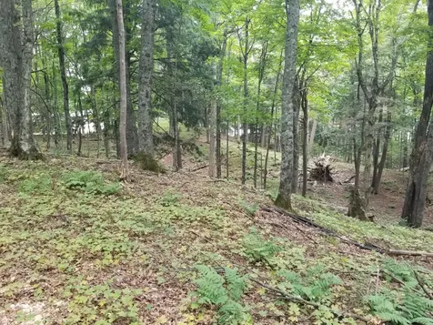 5 Ac Sylvan Isle Drive Watersmeet MI 49969