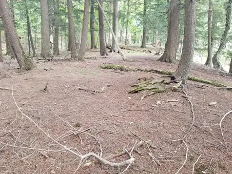 5 Ac Sylvan Isle Drive Watersmeet MI 49969
