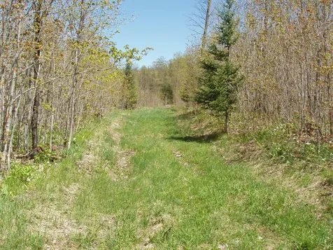 Off Cth N Glidden WI 54527