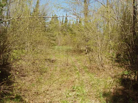 Off Cth N Glidden WI 54527