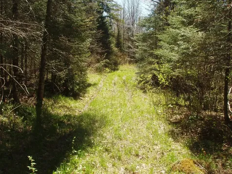 Off Cth N Glidden WI 54527